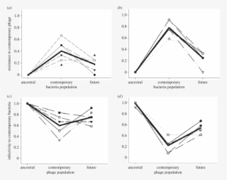 Coevolutionary Dynamics Of Bacteria And Phages With - Figure-four #5324838