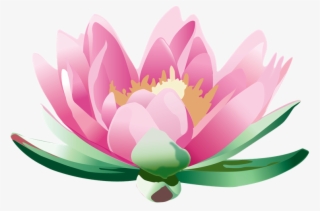 Achieve Balance Holistic Health #5325807