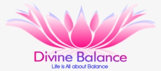 Logo Divine Balance - Symbol #5326080