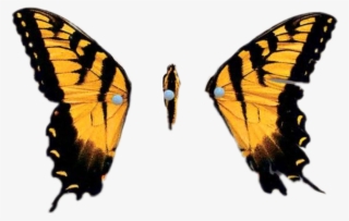 Report Abuse - Brand New Eyes (cd) #5327481