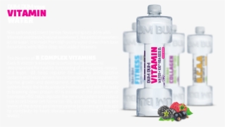 Dum Dum Vitamin Water - Dumdum Fitness Mint 710ml (kartonové Balení : 6 Ks) #5331047