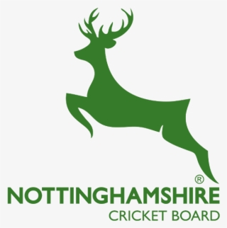 Notts Cricket #5334044
