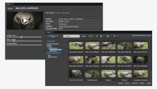 Adobe Premiere Pro - Adobe Premiere Content #5334465