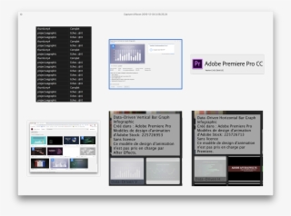Br Stock Pr Ae Mogrtissue 1412 Kb - Computer Program #5338286