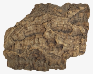 Barca Logo Png #5344470