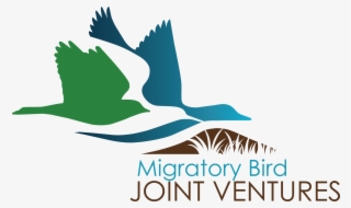 Lower Resolution Png - Migratory Bird Joint Ventures #5346516