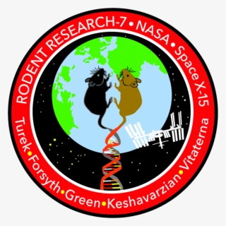 Rodent Research-7 Mission Patch - Northwestern University #5346614