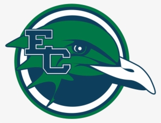 Endicott Softball Scores, Results, Schedule, Roster - Endicott College Athletics #5355580