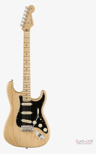 Fender American Professional Stratocaster Natural #5361066