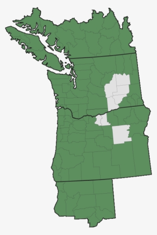 More Information - - Pacific Northwest #5361275