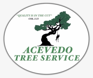 Contact Acevedo Tree - Kensington And Chelsea Review #5366003
