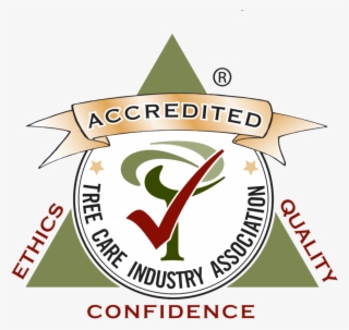 Tcia Accredited #5366446 Tcia Accredited #5366446