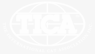 Majesticgems Bengals - International Cat Association #5370207