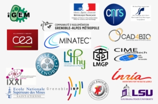 Footer - Page Footer #5371641