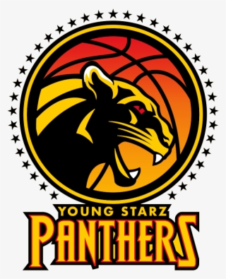Young Starz Panthers - Made In Usa #5372492