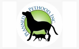 Need A Donation Of A Dozen Subarus Well, Maybe Not - Planned Pethood #5373517