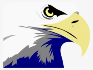 Cartoon Eagle Clipart - Bald Eagle Clipart #5374525