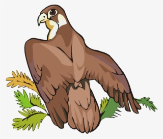 Free Eagle Clipart #5374916