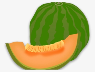 Cantaloupe Clipart Transparent - Clip Art #5376324