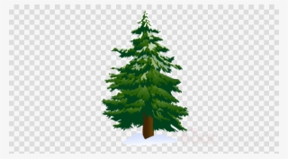 Pine Tree Clipart Scots Pine Conifers Clip Art - Spruce Tree Clip Art #5378927