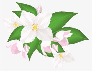 White Flower Clipart Png #5381165