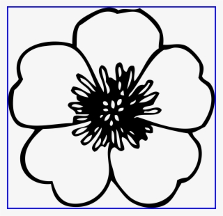 Graphic Free Download Incredible Flower Daisy Clipart - Black And White Cartoon Flowers #5381527