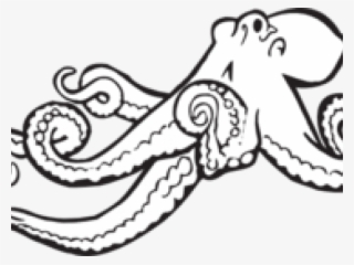 Octopus Clipart Glass - Octopus Drawing Black And White #5382081