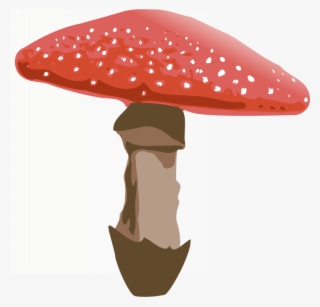 Amanita Muscaria Png Clipart Fly Agaric Clip Art - Mushroom Clipart Transparent Background #5383227