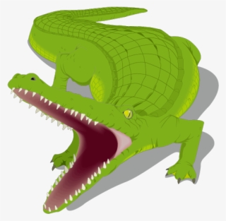 Banner Freeuse Library Honey Island Alligator Crocodile - Alligator Clip Art #5383836