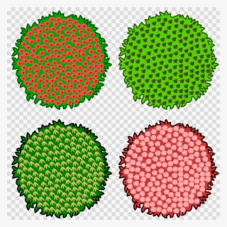 Branding Shapes Clipart Nail Amazon - Tree For Top View Vector Png #5385513