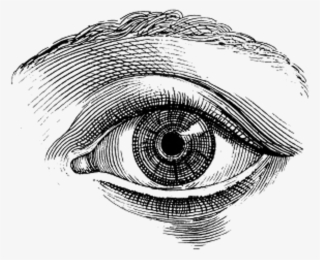 Eye Vintage Illustration #5387895