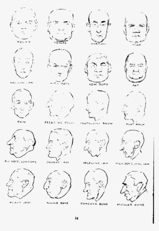 This Free Icons Png Design Of Andrew Loomis Drawing #5389338