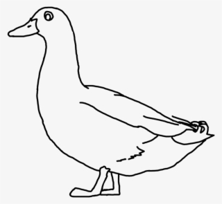 Duck Png Duck Line Drawing Clip Art Library #5389445