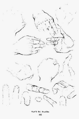 This Free Icons Png Design Of Andrew Loomis Drawing #5389977