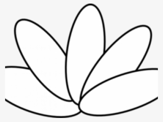 Feather Clipart Turkey Feather - Feather #5391572