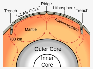 Tectonic Plates Diagram #5392167