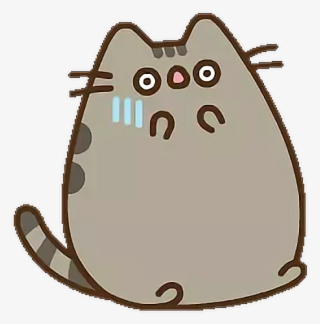 angry pusheen cat