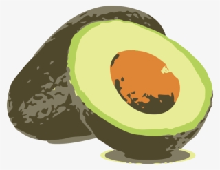 Avocado - Illustration #5397302
