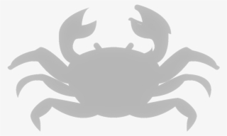 Crab-10 - Portable Network Graphics #5399589