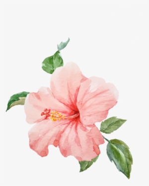 Tropical Flower Transparent Background #540376