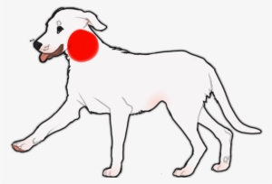 Any Scars Must Be Flesh Colored, And Semi Realistic - Ancient Dog Breeds #540406