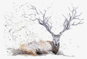 Deer Watercolor Painting Drawing Illustration Cartoon - Expressive Watercolor Animal Paintings #540541