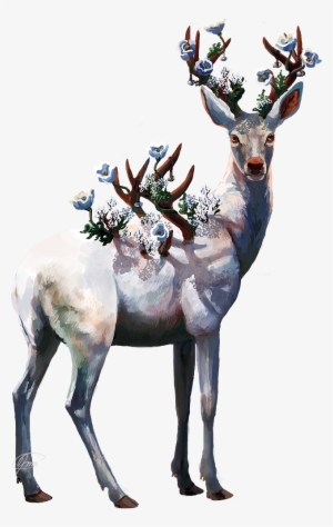 Drawing Antlers Deer Antler - Ciervo Vector #540572