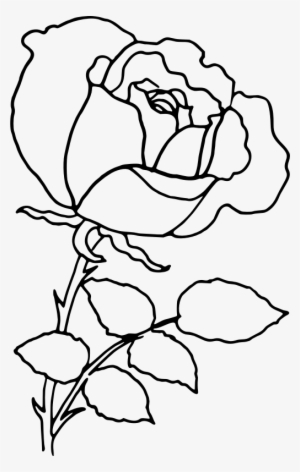 Medium Image - Rose Line Drawing Png #540940