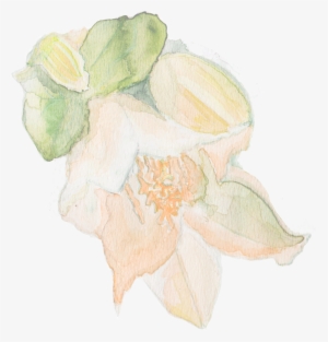 New Pattern Is Inspired By The Flowers Growing In Spanish #541245