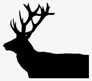 Download Png - Deer #541317