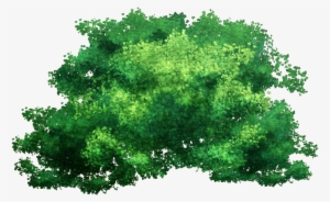 Tree Top Png Png - Jungle Terrain Wargaming #541433