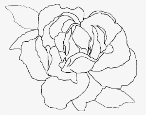Stb Digital Painting Lesson 5 Digital Painted Rose - Painting #541504