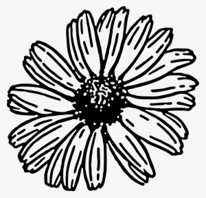 Daisy Clip Art - Gerbera Daisy Clipart Black And White #541525