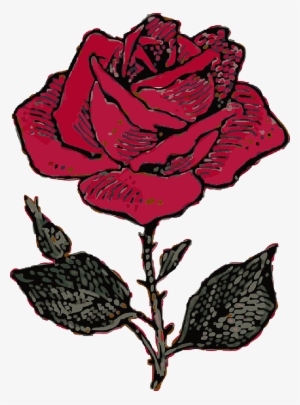 Mb Image/png - Rose Illustration #541592